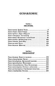 Темные начала. Книга 1. Северное сияние